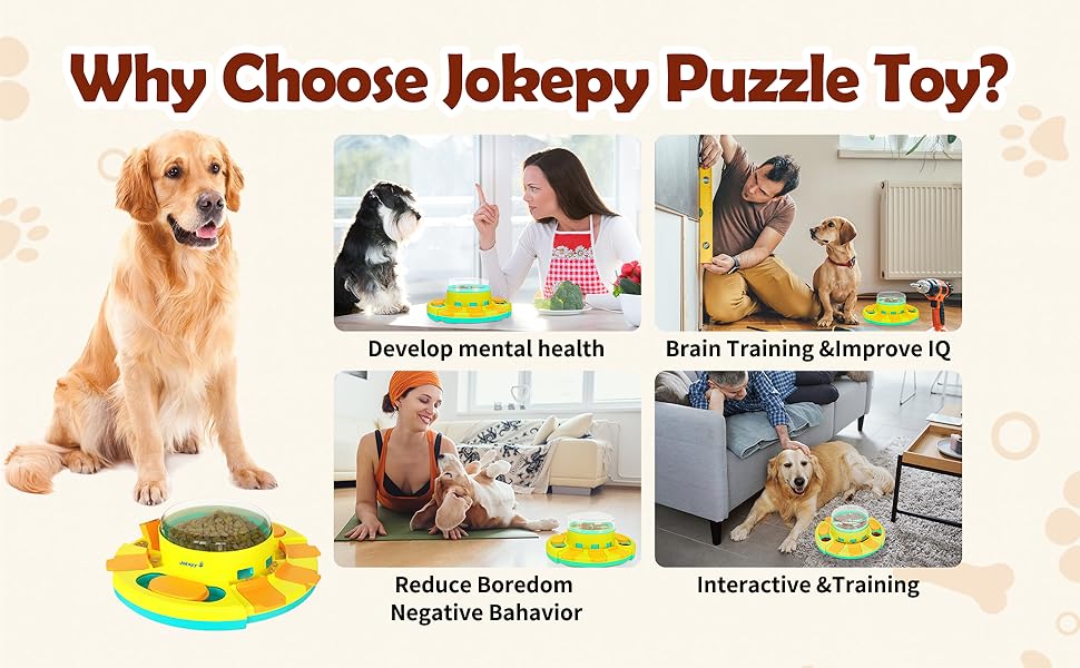 Dog Puzzle Toys