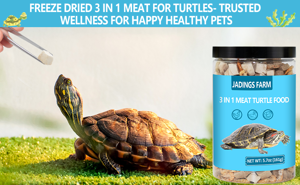Chicken, Duck, and Shrimp - Healthy Treats for Turtles