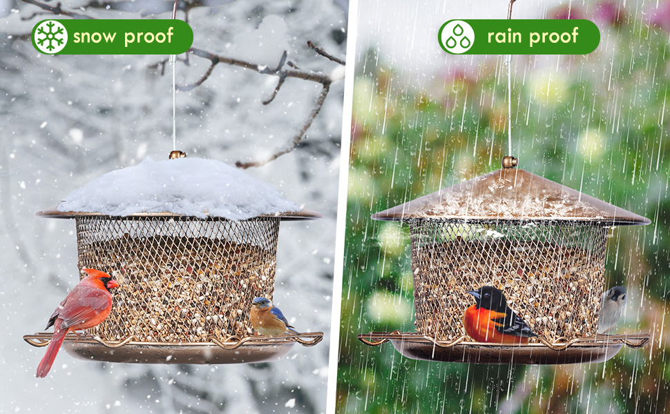 bird feederss for outdoor squirrel proof