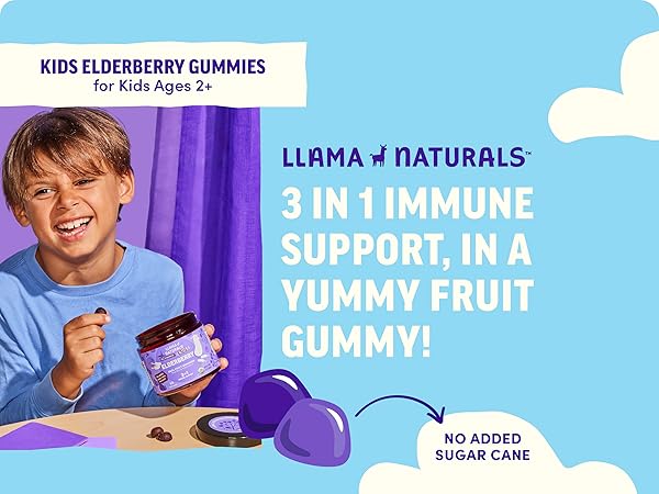 llama naturals kids elderberry gummies