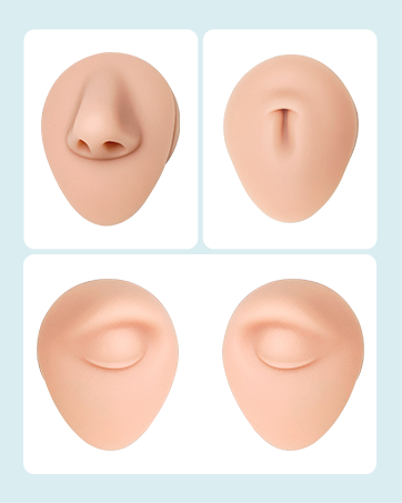 silicone model