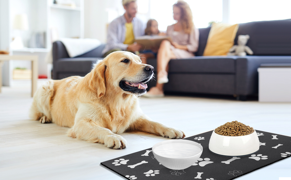 Findosom Pet Feeding Mat, 16X24 Inches Absorbent Dog Food