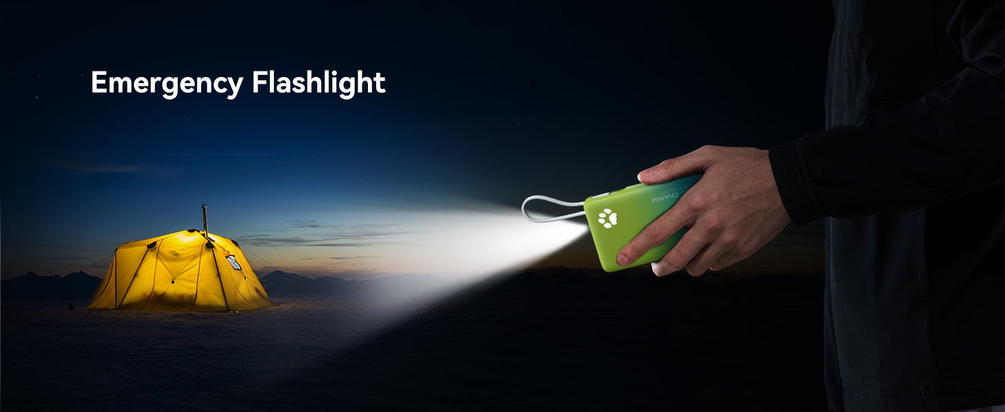 Emergency Flashlight