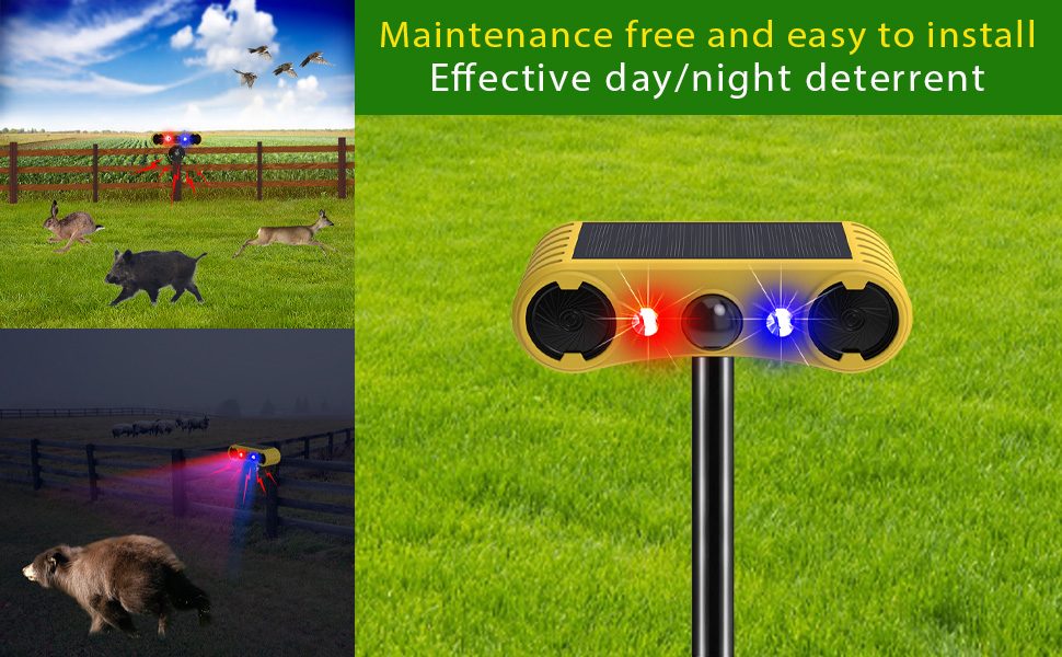 motion sensor alarm outdoor