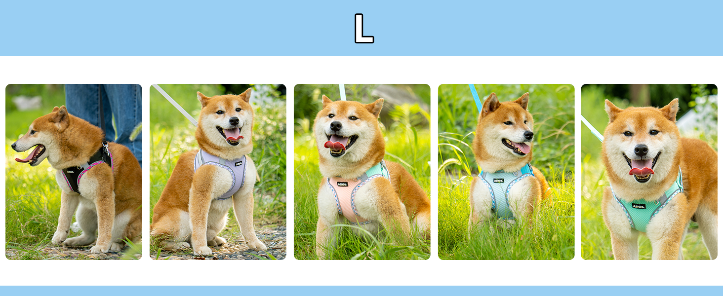 AIITLE Teacup Puppy Harness with Leash - Adjustable Soft Vest with Magic Velcro