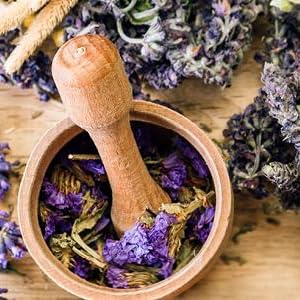 naturopathy dietary supplement remedy plant science natural dietary supplement