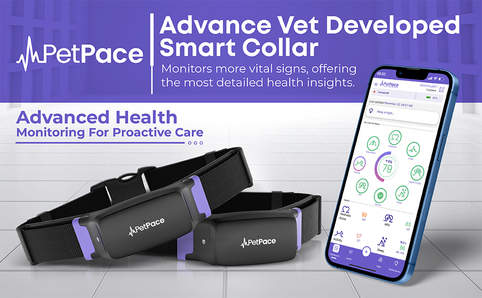 Monitoring Proactive Health Care