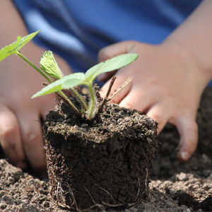 Round Plant Starting Pot