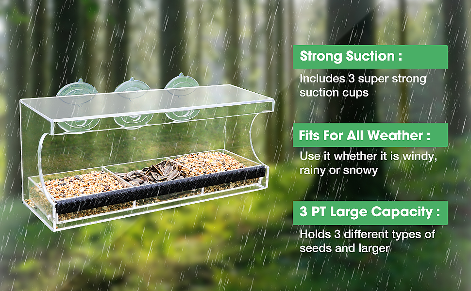 Jarkyfine Window Bird Feeder for Viewing with Strong