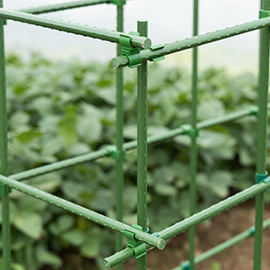 plant sticks support
