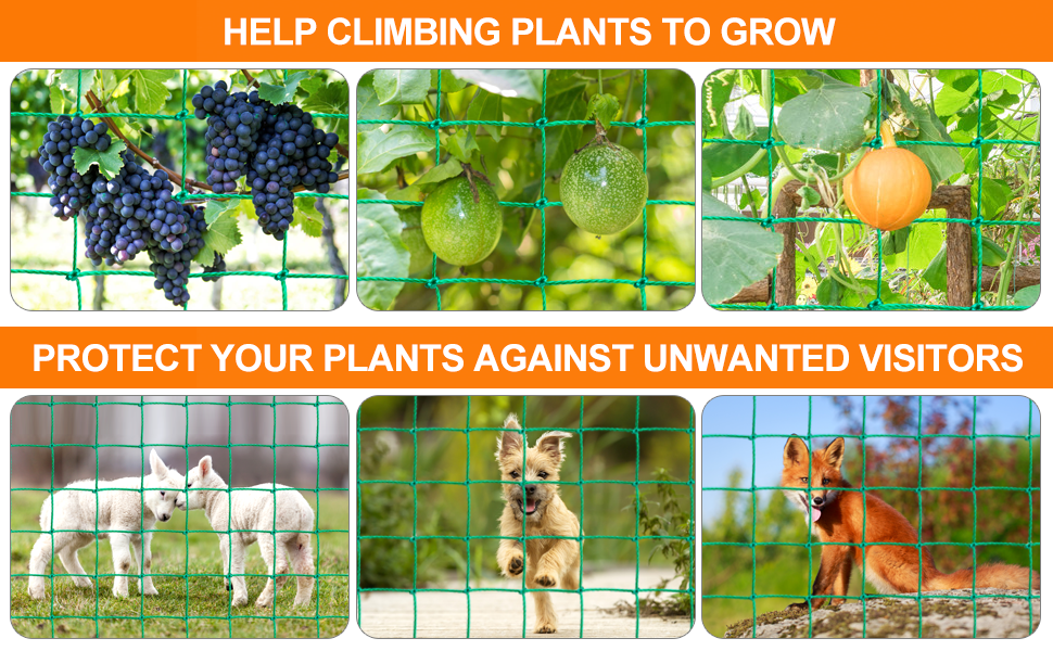 Trellis Netting Garden Netting for Plants, 6.6x16.4 FT