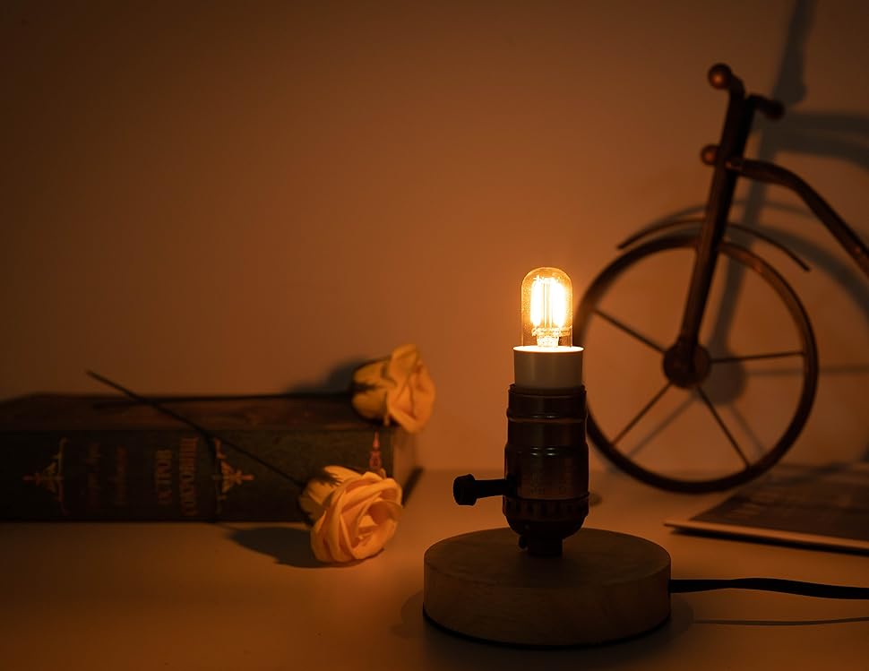 Grensk Dimmable E12 Led Bulb 25W Equivalent, 2W 120V 2700K Salt Lamp