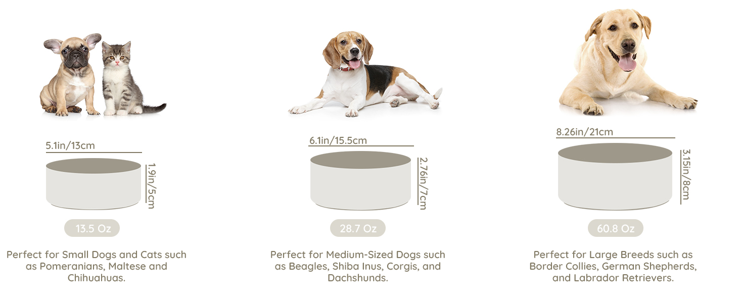 SPUNKYJUNKY Ceramic Dog and Cat Bowl Modern Cute Weighted Food Water Bowl
