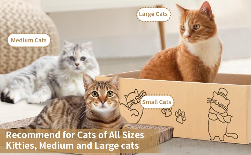 Large manufacture image 7