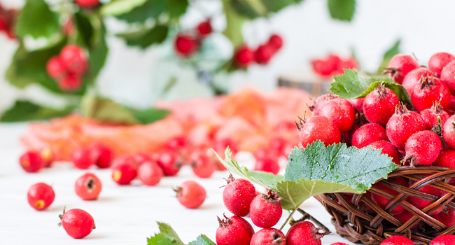 hawthorn Berry candy