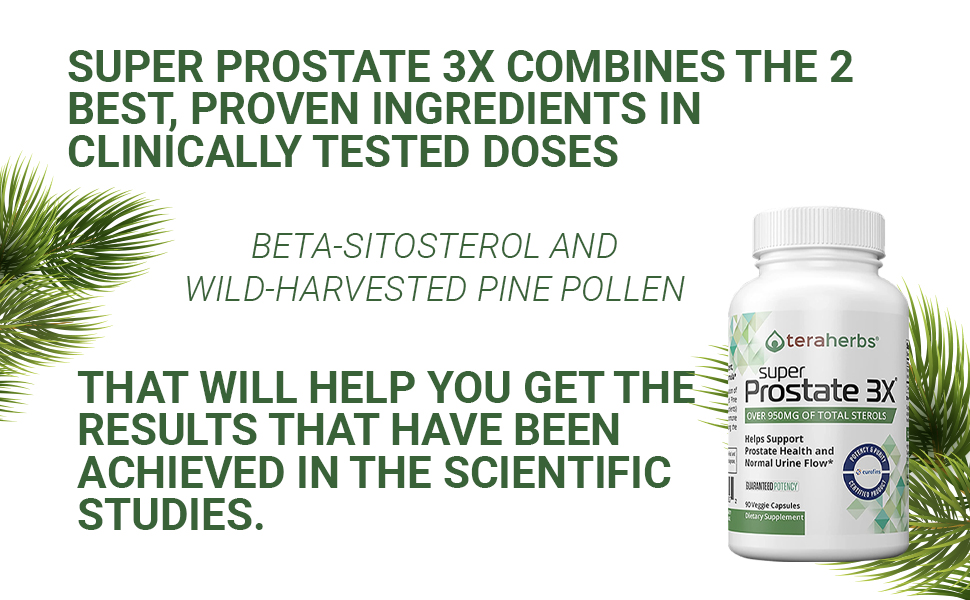 teraherbs Super Prostate 3X Bladder Control, & Support for Enlarged Prostate