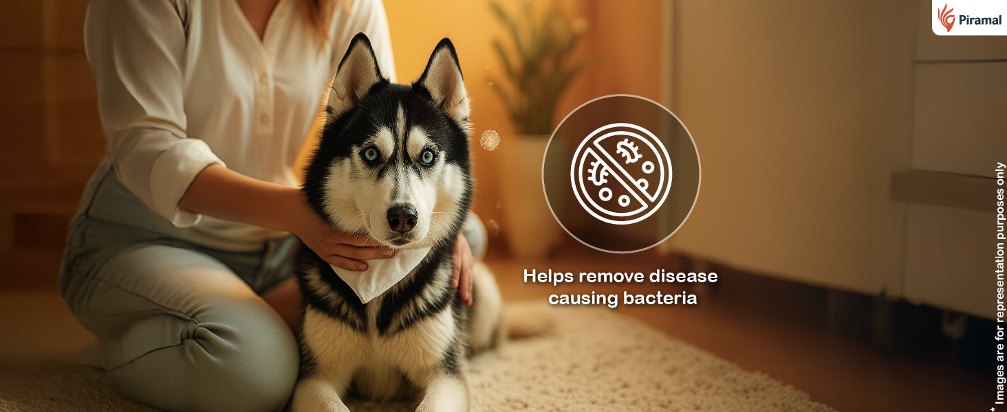pet wipes