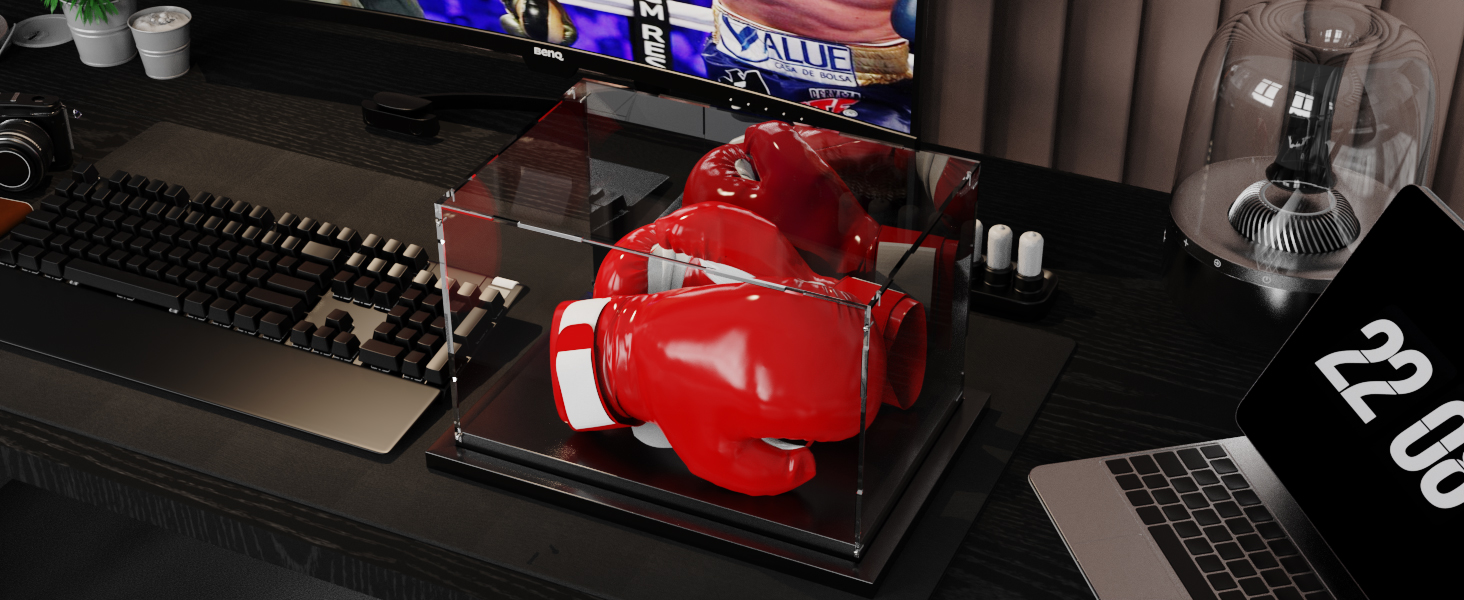 boxing glove display case