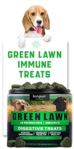 Green Lawn