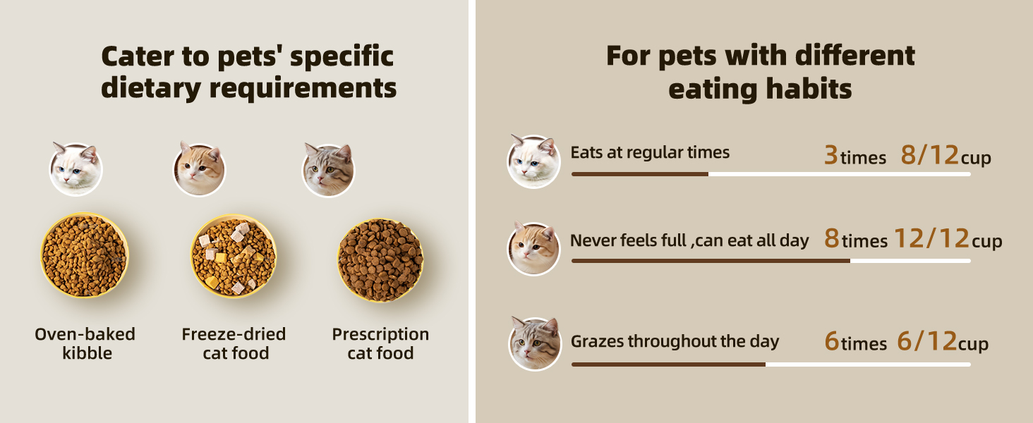 cat feeder with collar sensor