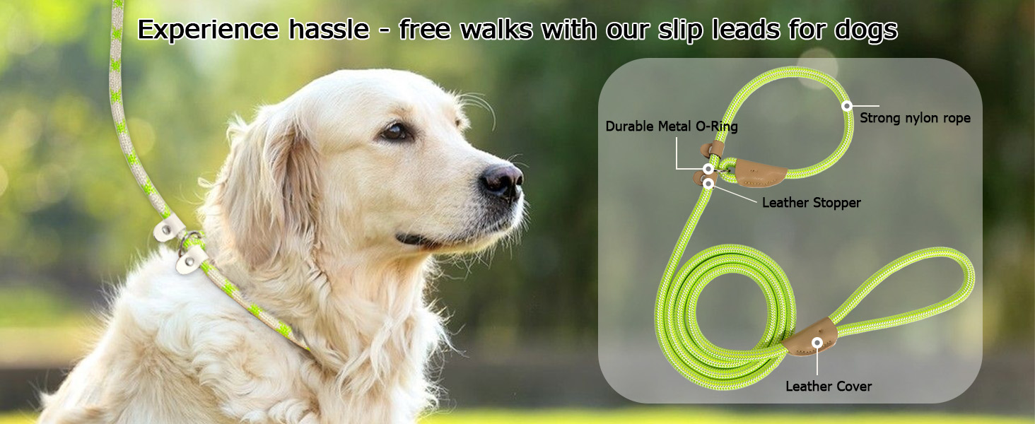 slip leads for dog