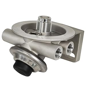 ぷー $_57.JPG?set_id=8800005007