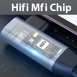 Dual Lightning Headphones Jack and Charger Adapter