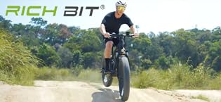 adult electric bike