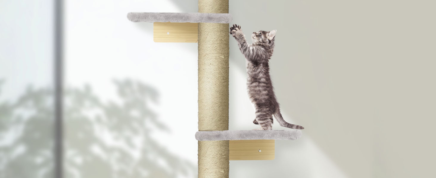 Cat Scratching Post
