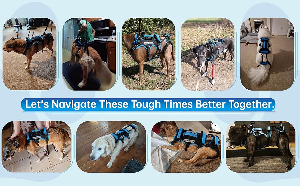 Dog Lift Harness for Large Male Dogs Friendly