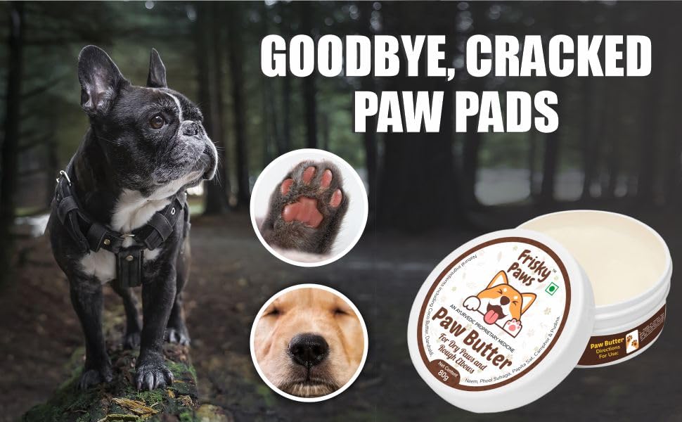 Frisky Paws Dogs Paw Butter for Pets with Coco, Neem, Papita and Pudina
