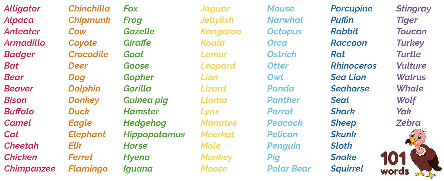 Learn with me flash cards