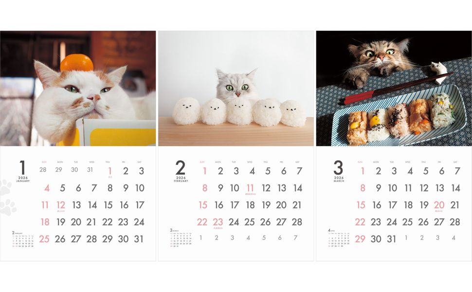 カレンダー2026 MARCO's CAT CALENDAR Comical ! 保護猫チャリティーカレンダー