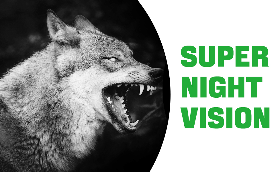 Black and white photo of a wolf with bared teeth next to bright green text reading 'SUPER NIGHT VISION'.