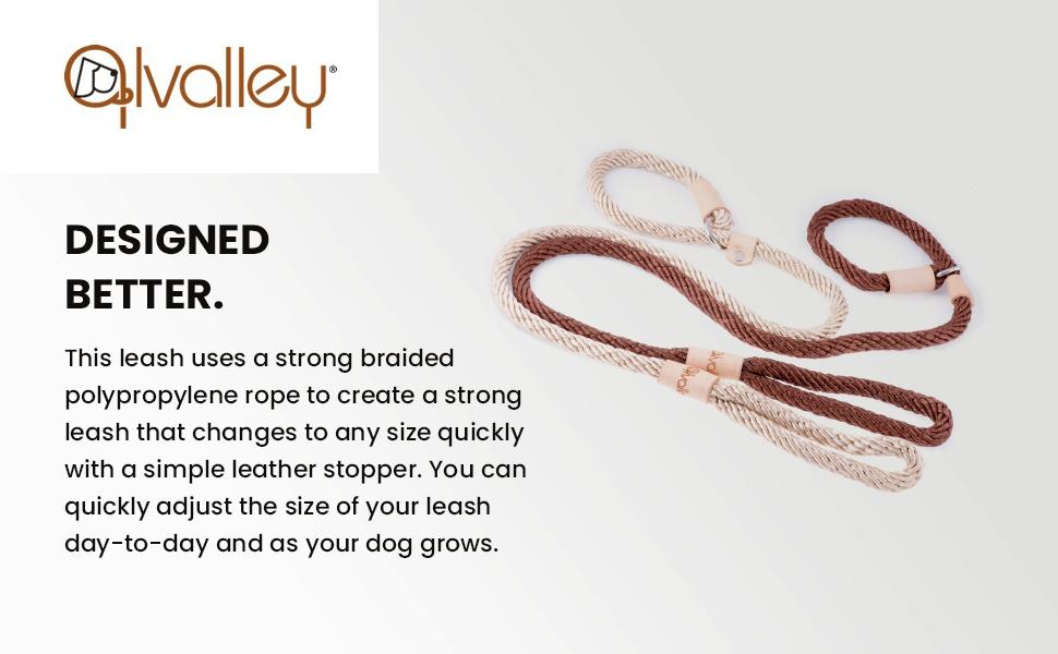 Amazon slip leash Clearance