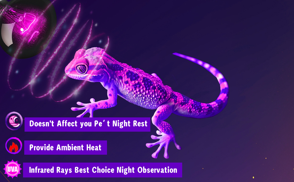 Reptile Night Heat Lamp