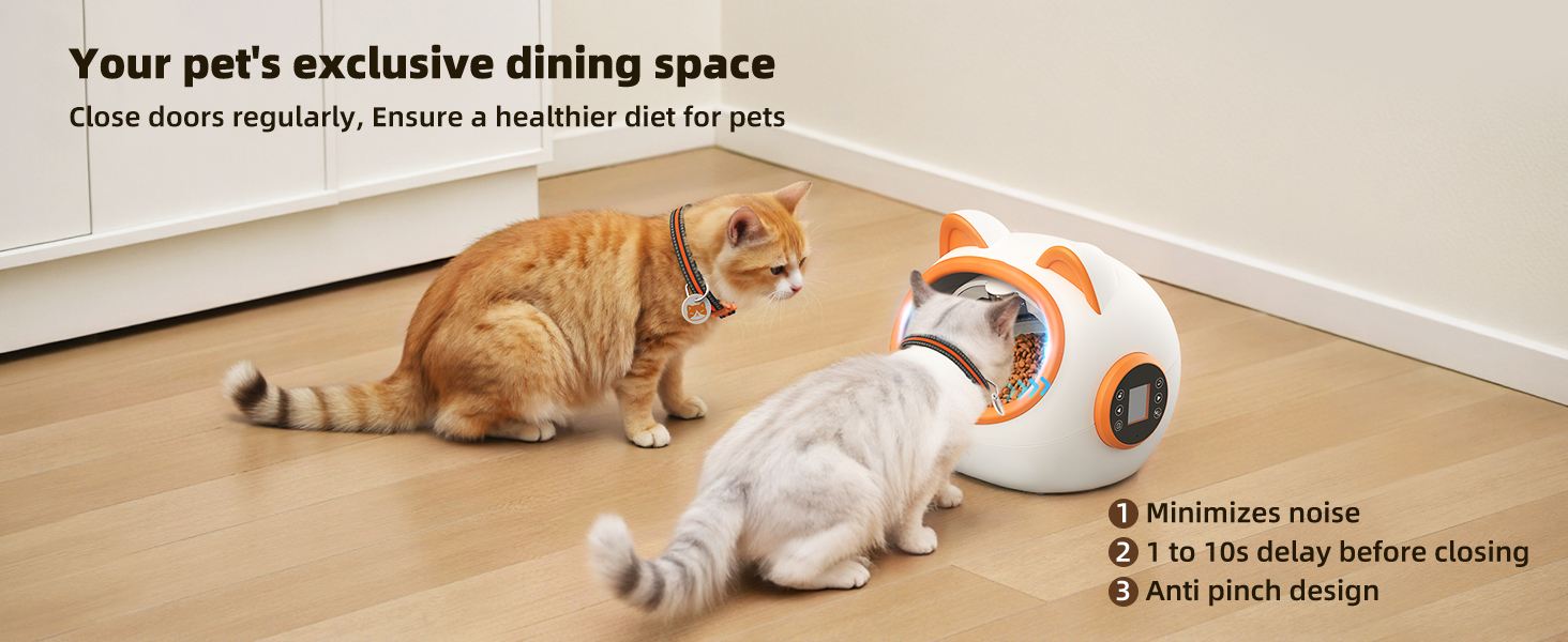 wet food automatic feeder
