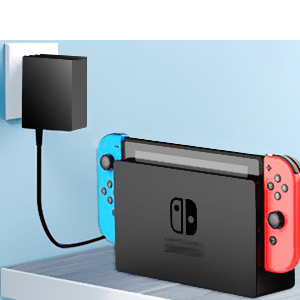Type-C Adapter for Nintendo Switch 
