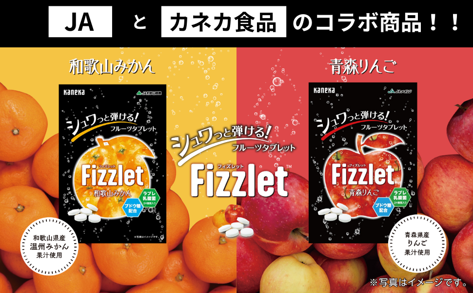 Amazon.co.jp: カネカ食品 Fizzlet（フィズレット）和歌山みかん