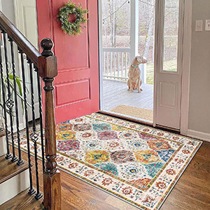 Living Room Area Rugs