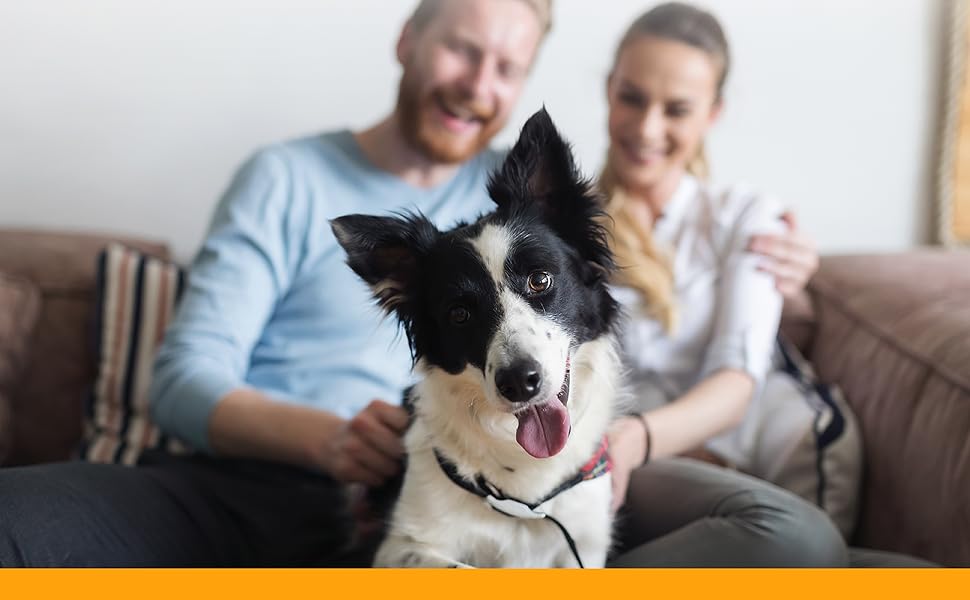 Arm & Hammer Pet Fresh Deodorizing Scented Gel Pearls 12