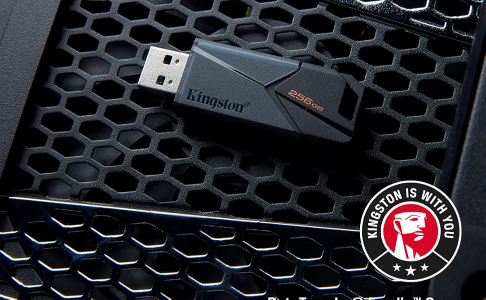 Kingston DataTraveler Exodia Onyx DTXON/64GB Flash Drive 3.2 Gen 1 ...