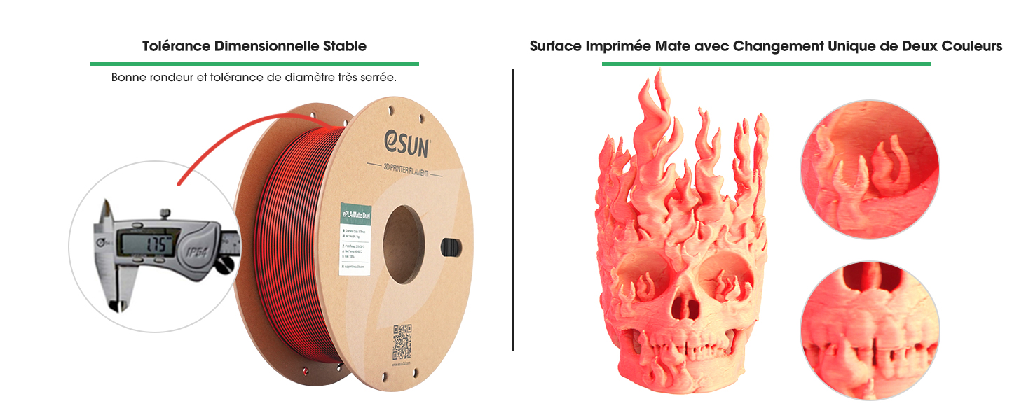 côtoie trois modèles de crânes imprimés en 3D en rouge, présentant différents niveaux de détail et de complexité