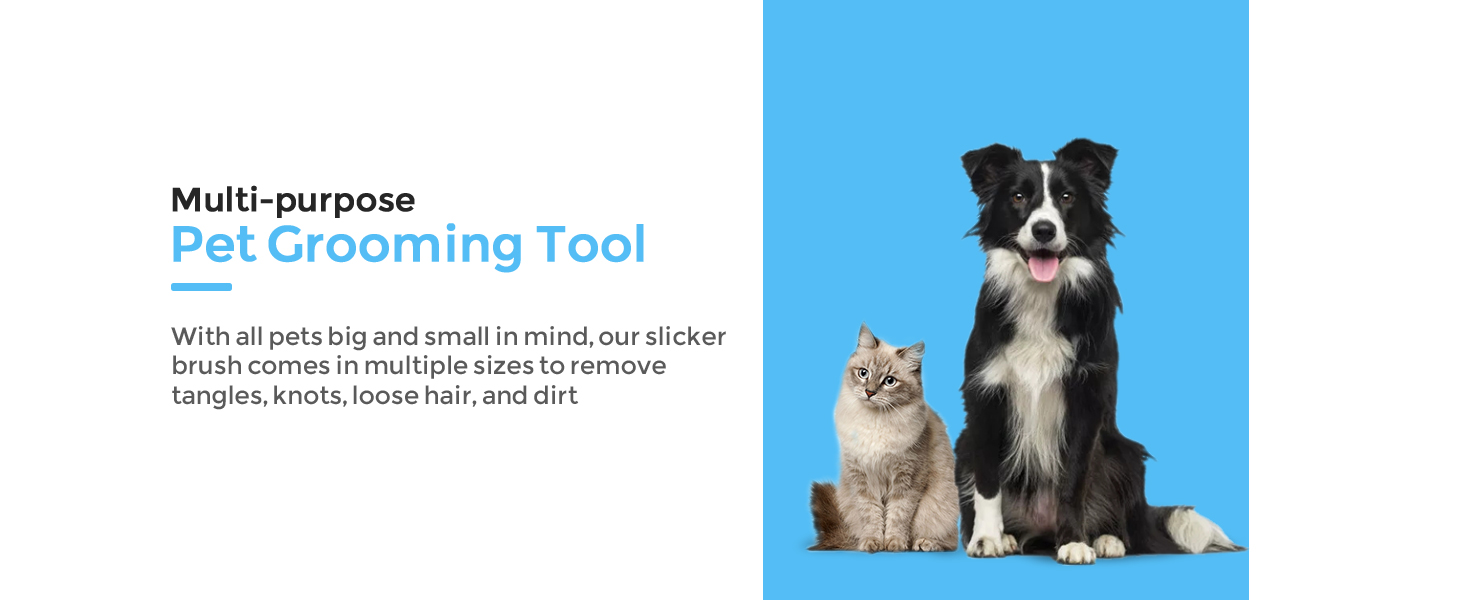 pet grooming tool