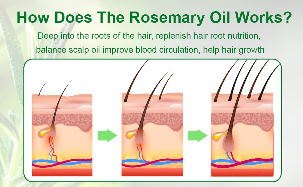 Rosemary Oil