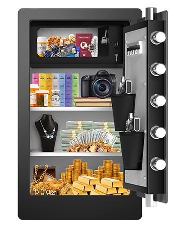 Extra Large Biometric Safe Box