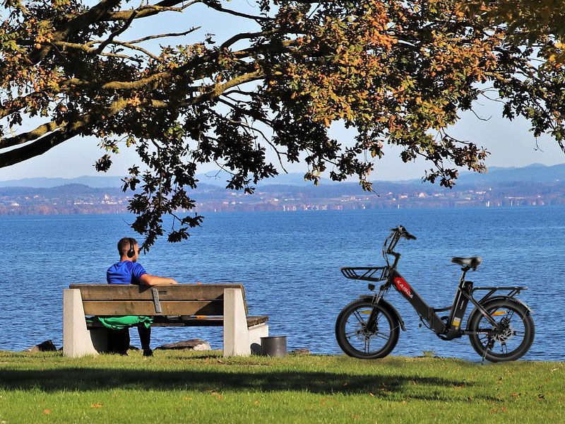 fafrees e bike klapprad