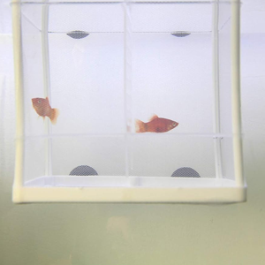 Small manufacture image 2