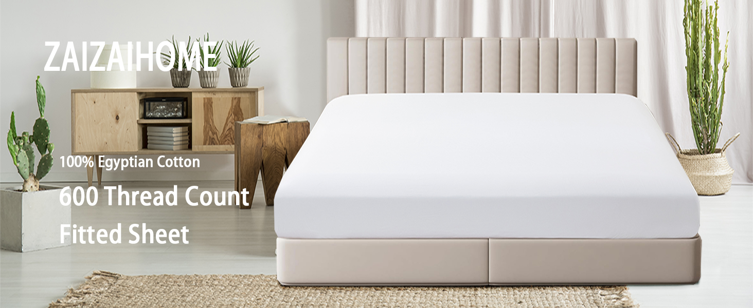 Amazon.com: 100% Egyptian Cotton Fitted Sheet Twin Size Only, 600 ...