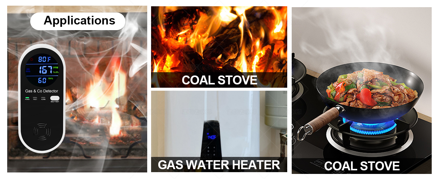 gas and carbon monoxide detector